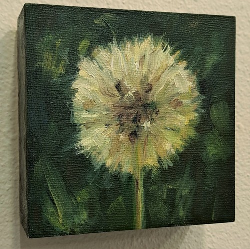 Click to view detail for Make a Wish 4x4 $220
